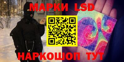 амф Камышлов