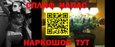 амф Камышлов