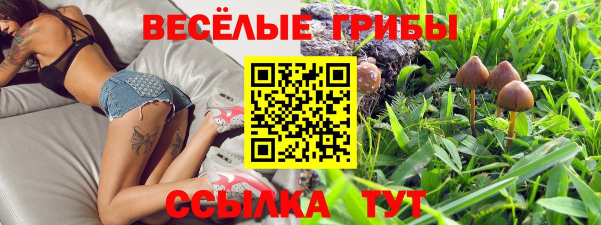 Галлюциногенные грибы прущие грибы  Псилоцибиновые грибы прущие грибы  Вход с VPN  Кушва 