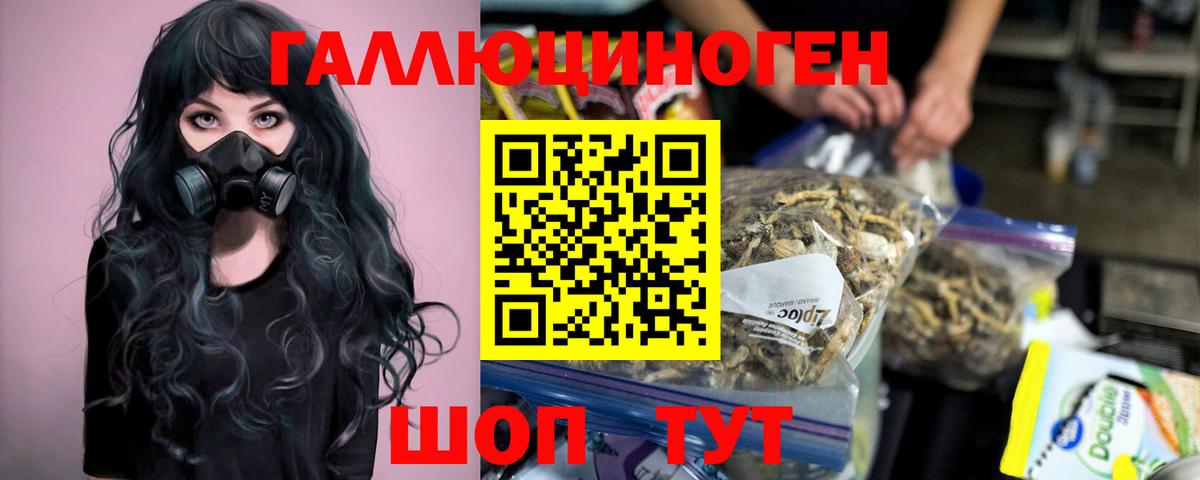 Псилоцибиновые грибы мухоморы Кушва