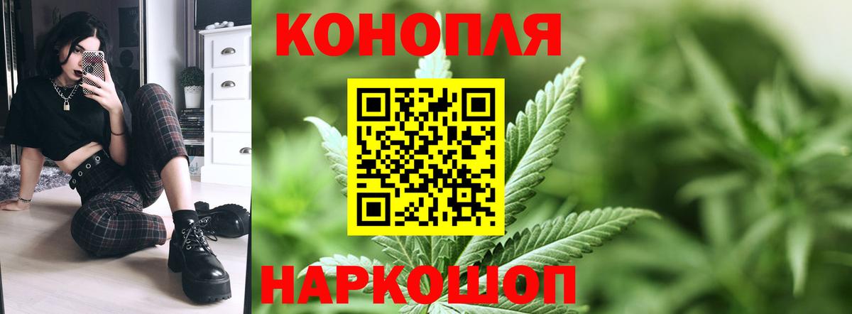 Кушва  Бошки марихуана план  Вход с VPN  Бошки Шишки марихуана  Конопля OG Kush  Канабис Bruce Banner 
